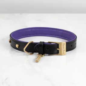 Buster Black and Purple Dog Collar