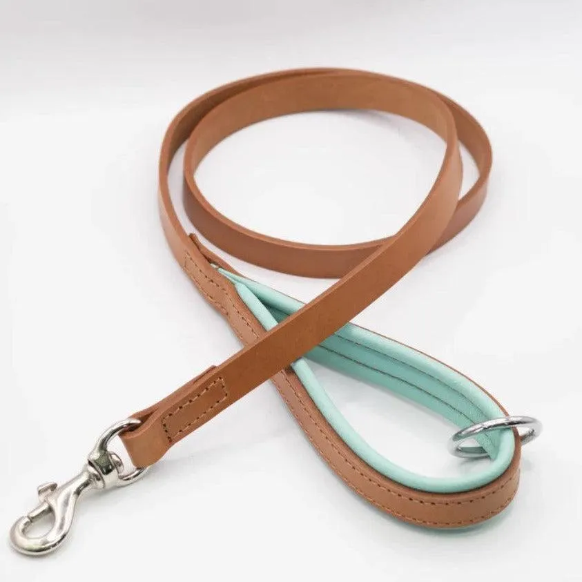 Dogs & Horses All Leather Dog Lead - Aqua & Tan