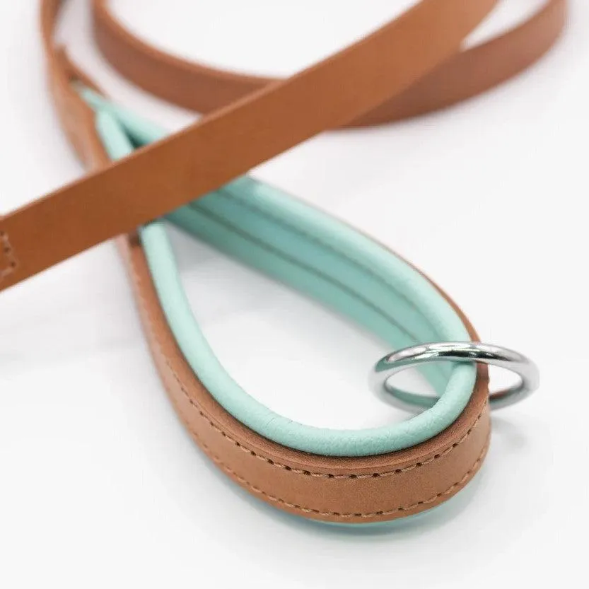 Dogs & Horses All Leather Dog Lead - Aqua & Tan