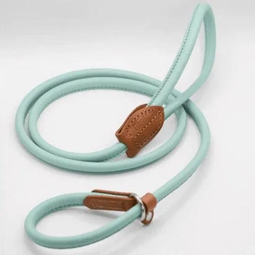 Dogs & Horses Rolled Leather Dog Lead - Aqua