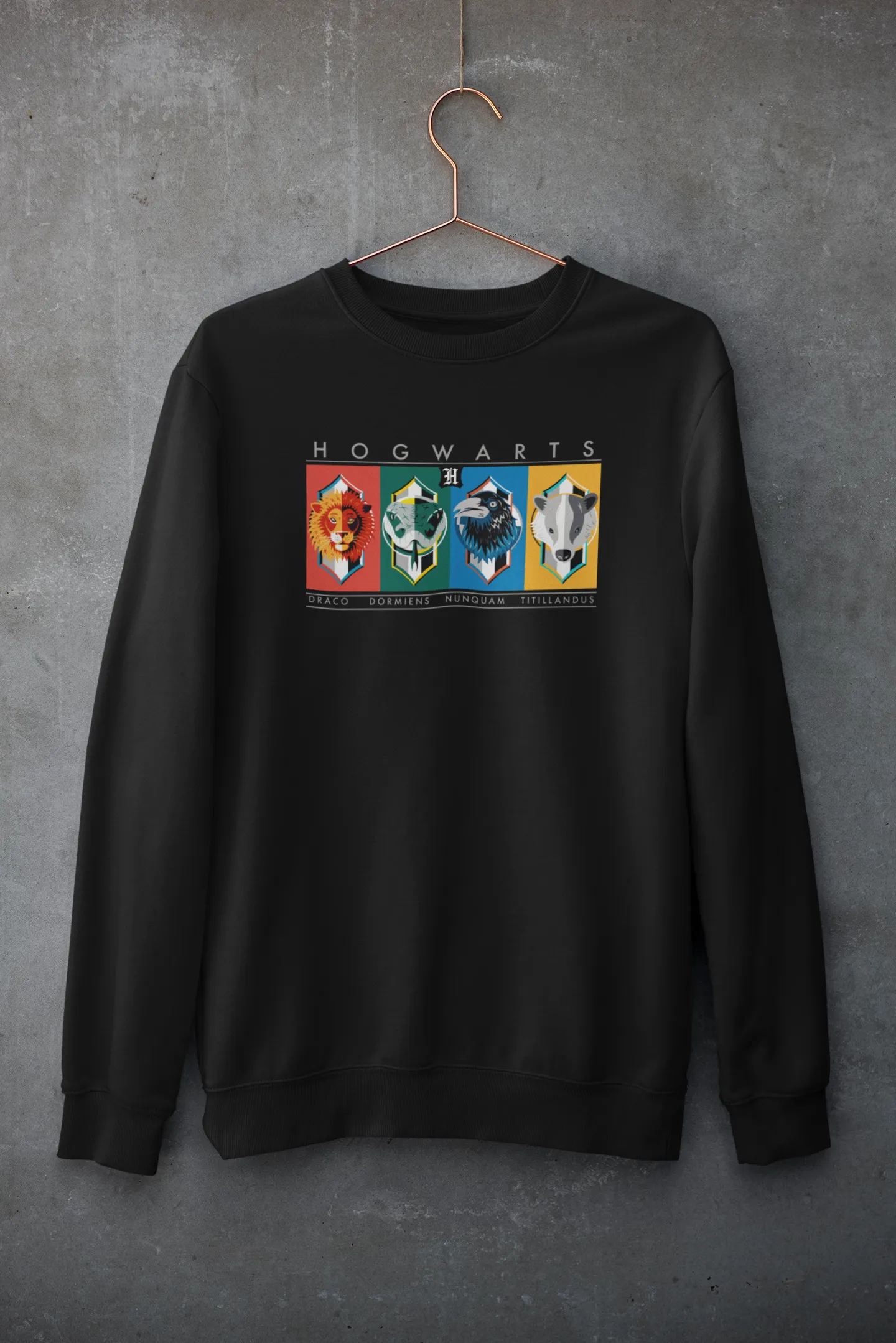 Hogwarts House : Harry Potter - Winter Sweatshirts