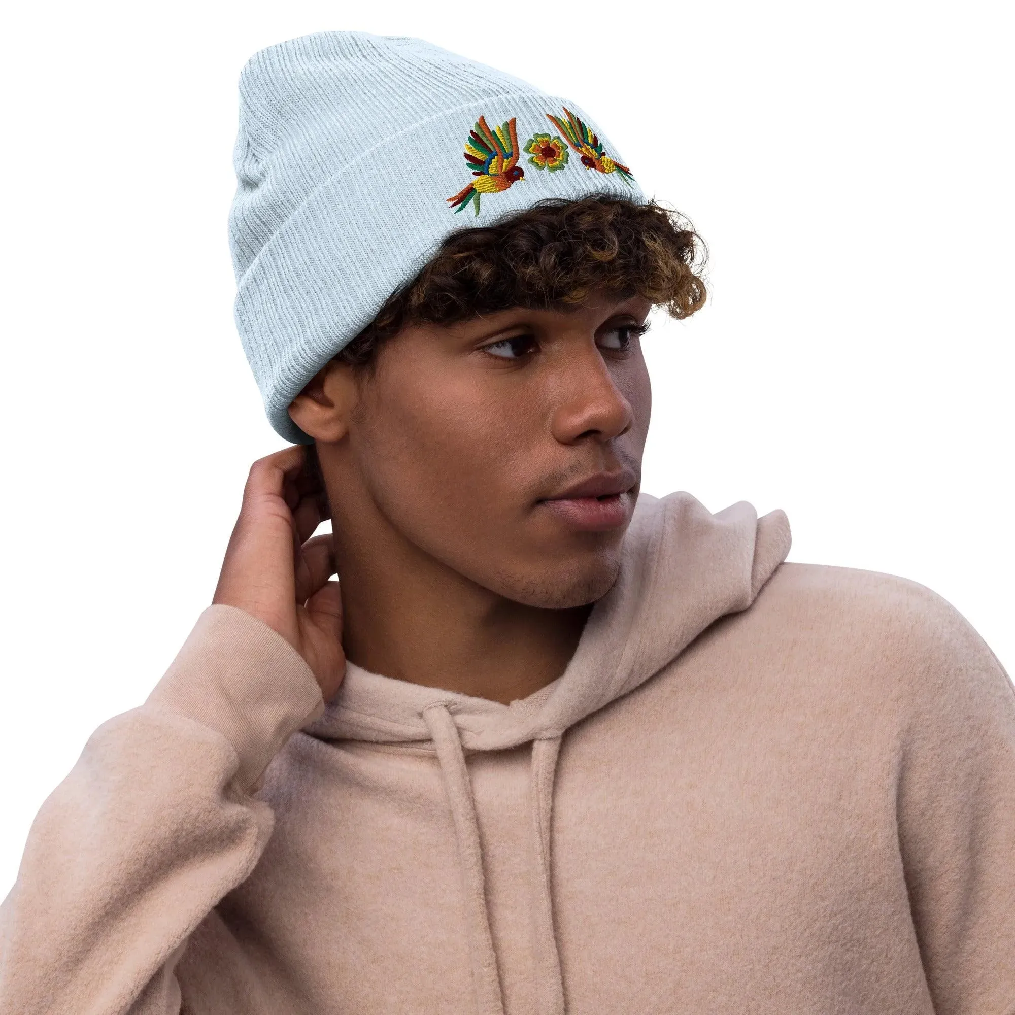 Mexican Otomi Embroidered Beanie