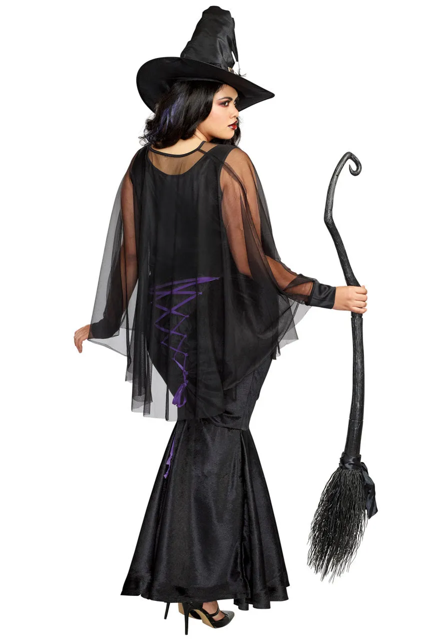 Plus Size Bewitching Beauty Costume