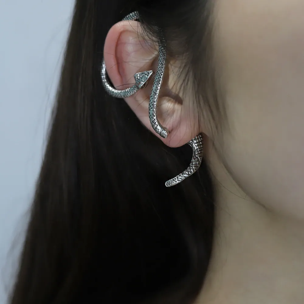 Twining Snake Punk Style  Earrings