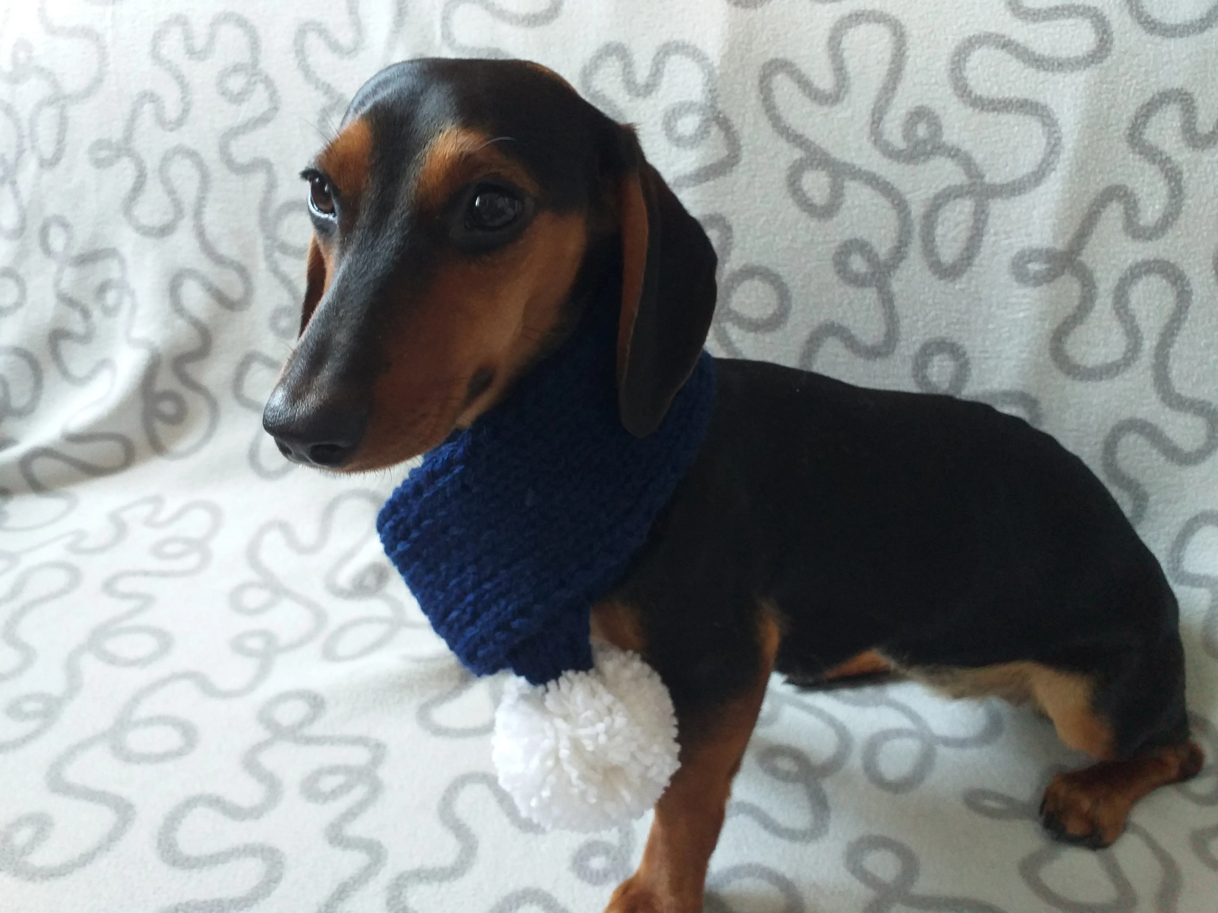 Woolen christmas dog scarf with pom pom, knitted small dog neck warmer, dachshund and small dog scarf snood with pom pom